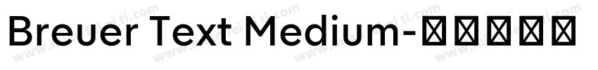 Breuer Text Medium字体转换
